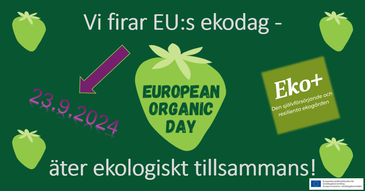 Vi firar EU:s ekodag – äter ekologiskt tillsammans featured image