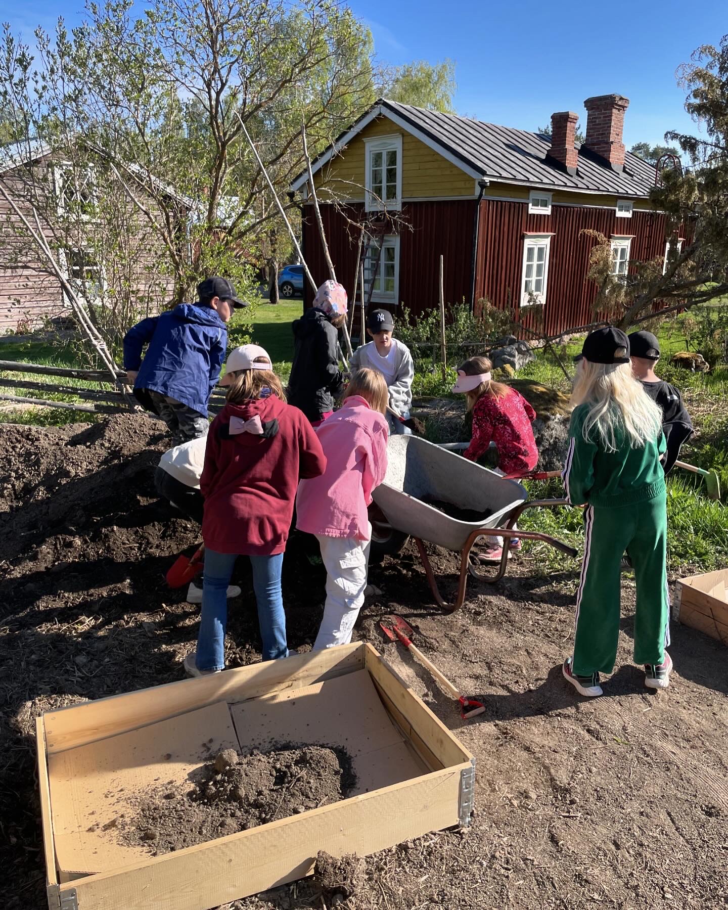 Skolträdgården som lärmiljö featured image