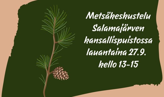 Keskustelua metsistä Salamajärven kansallispuistossa featured image