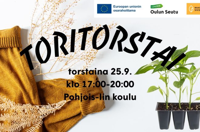 Toritorstain vaihtotori Pohjois-Iissä featured image