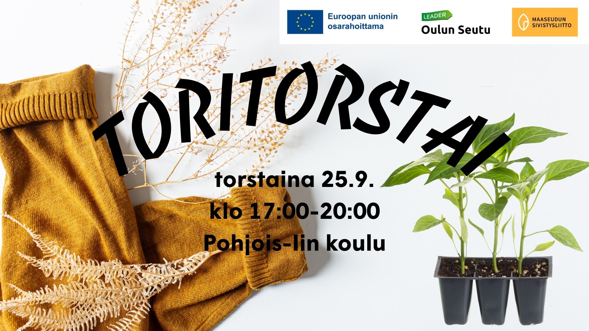 Toritorstain vaihtotori Pohjois-Iissä featured image