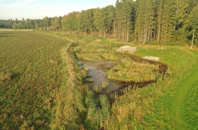 Presentation av Projektet Raseborgs å & naturstigs¬vandring vid våtmarken featured image