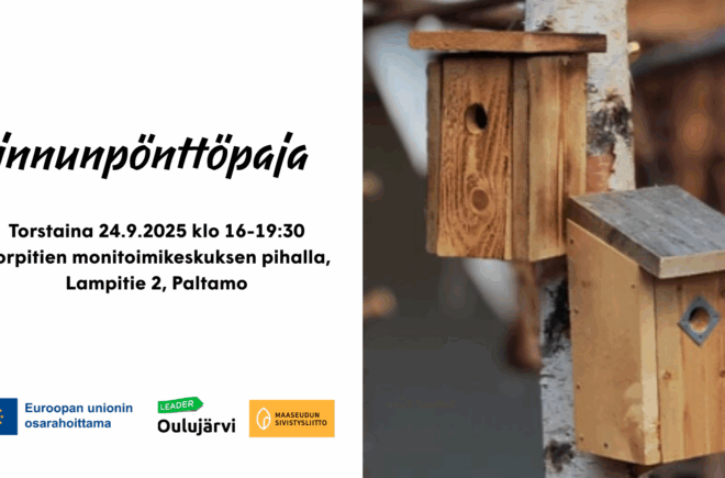 Linnunpönttötyöpaja featured image