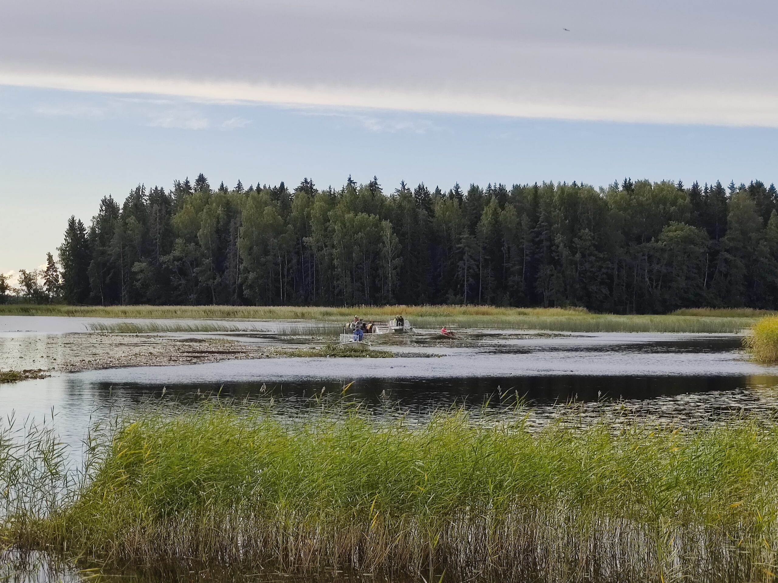 Rautalanselän kunnostuksen infotilaisuus featured image