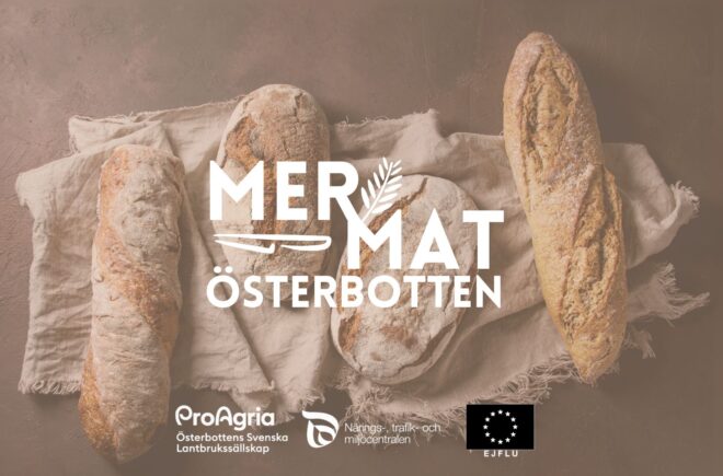 Mer Mat från Österbotten featured image
