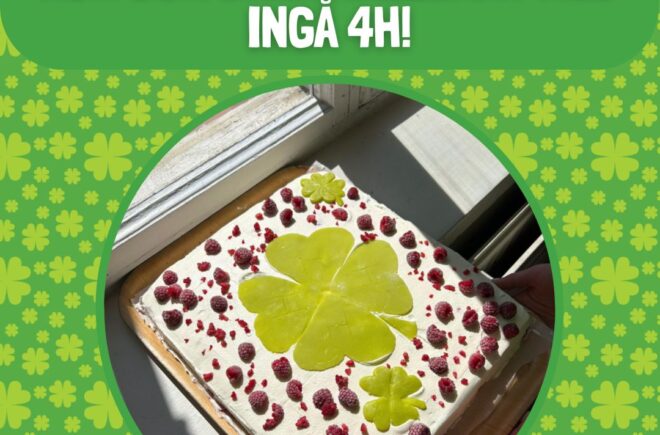 Hållbar bakning med Ingå 4H featured image