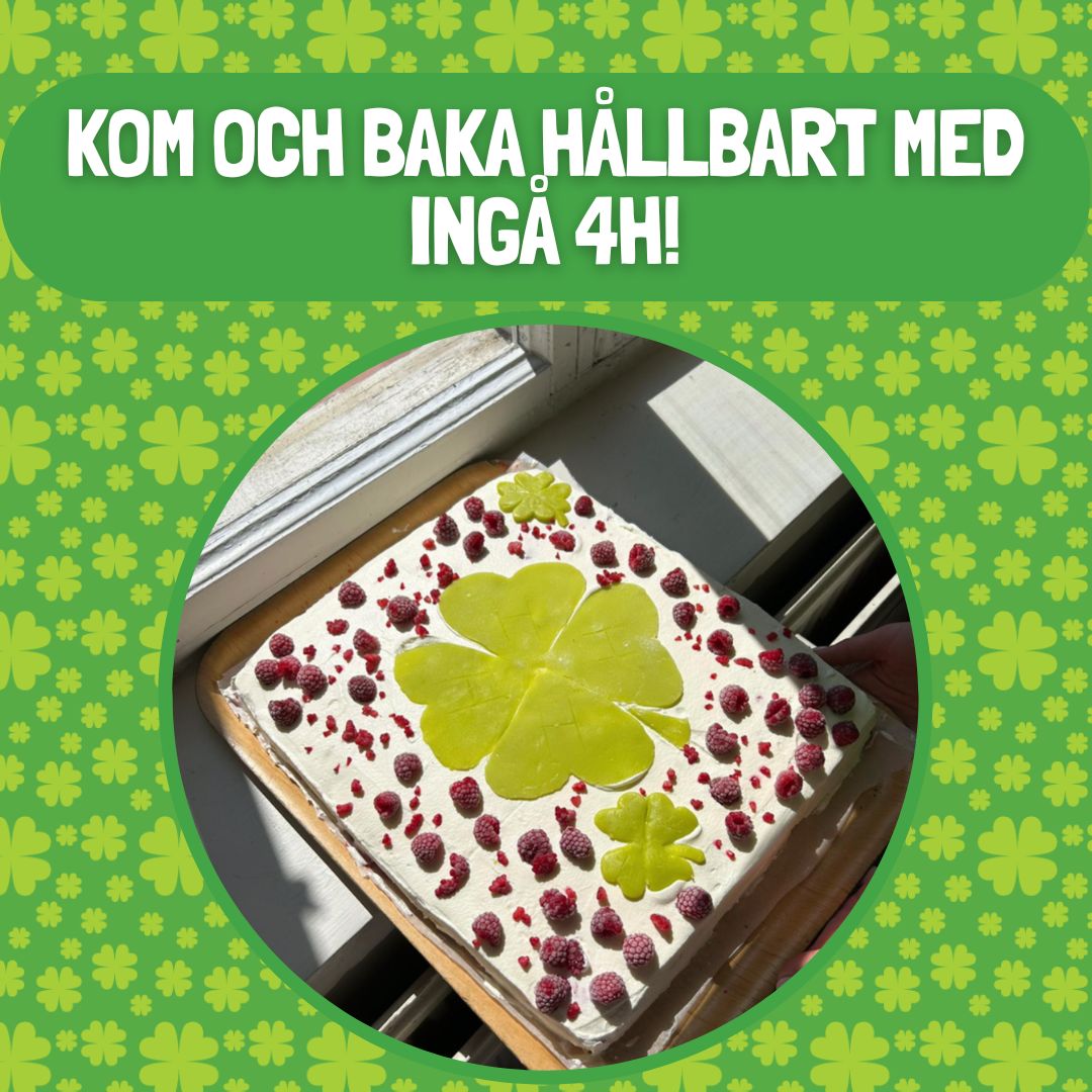 Hållbar bakning med Ingå 4H featured image