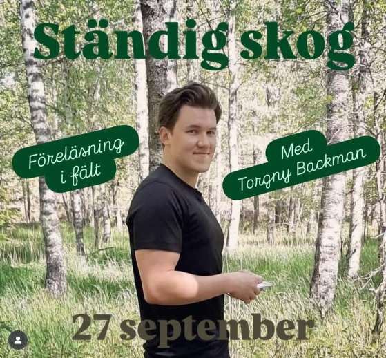 Städig skog featured image