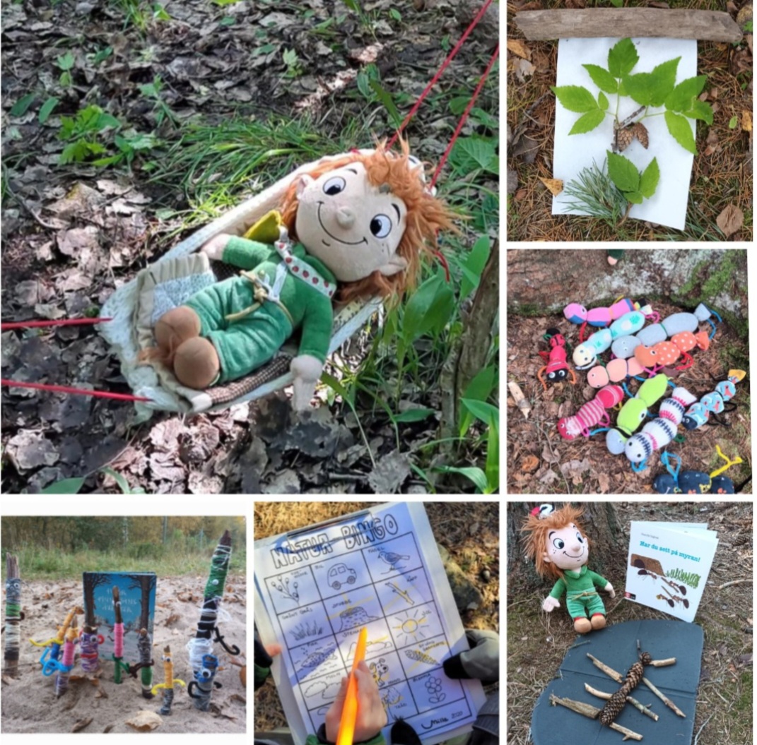 Minikurs i skogsaktiviteter för dagispersonal featured image