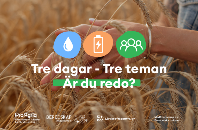 Tre dagar – tre teman – är du redo? featured image