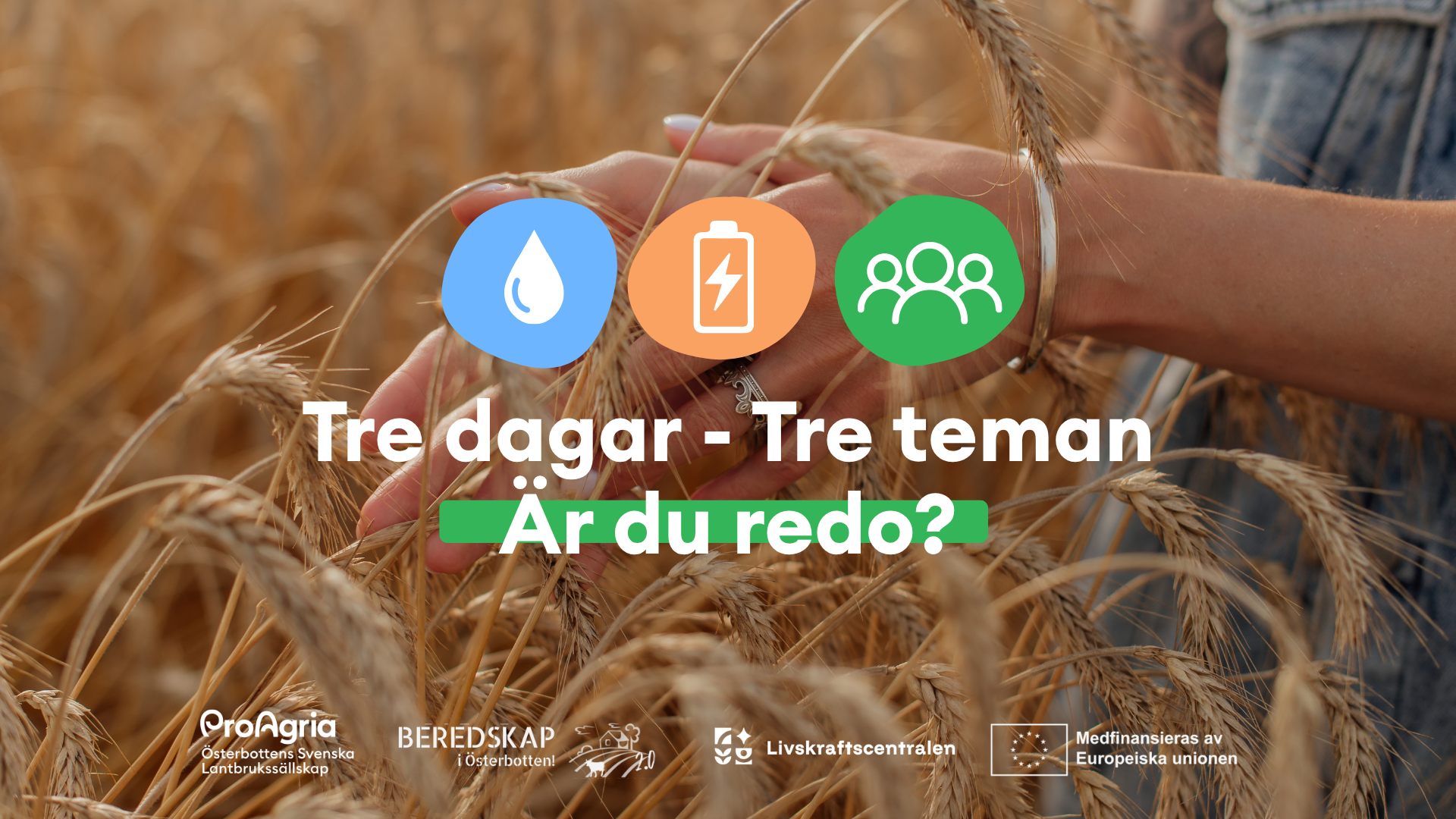 Tre dagar – tre teman – är du redo? featured image