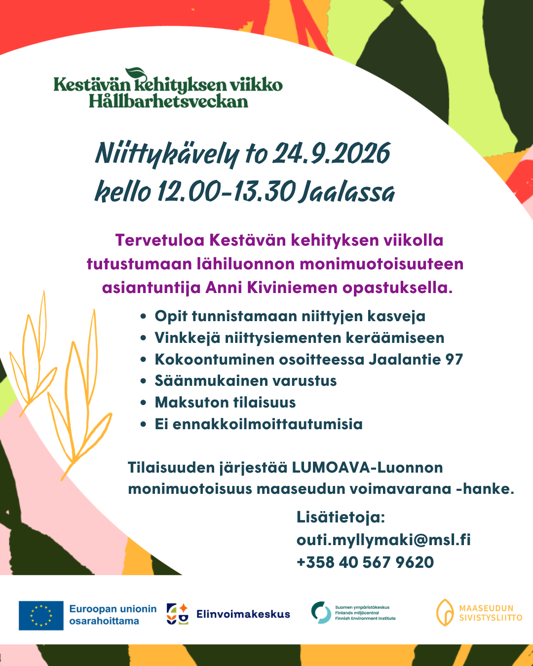 Niittykävely Jaalassa Kouvolassa featured image